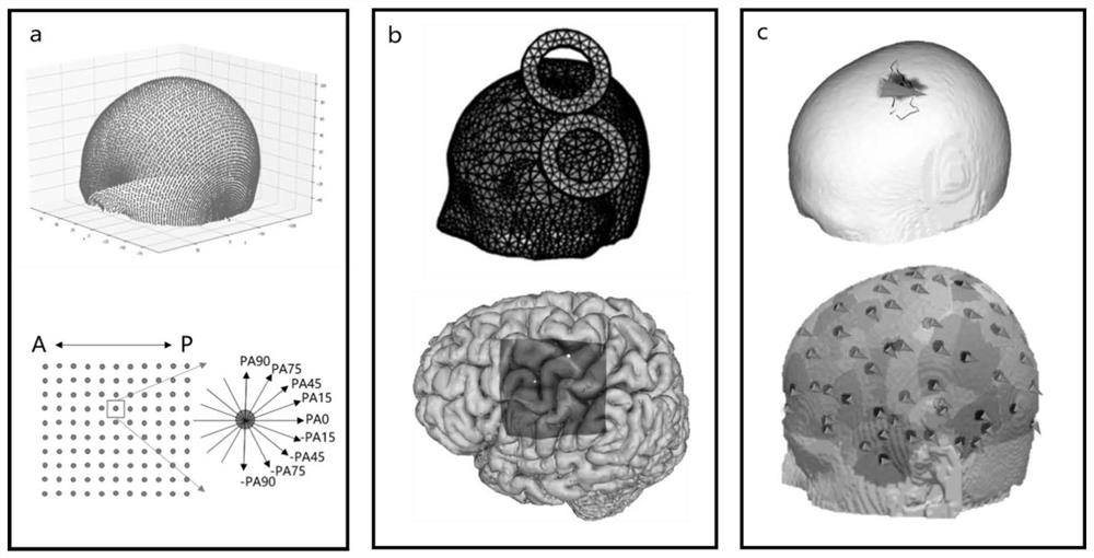 TMS coil pose map generation method based on electromagnetic simulation calculation