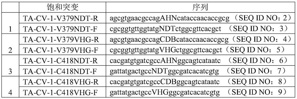 Transaminase mutants and application thereof