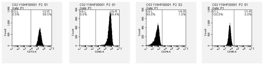 A primary isolation method of hair follicle stem cells