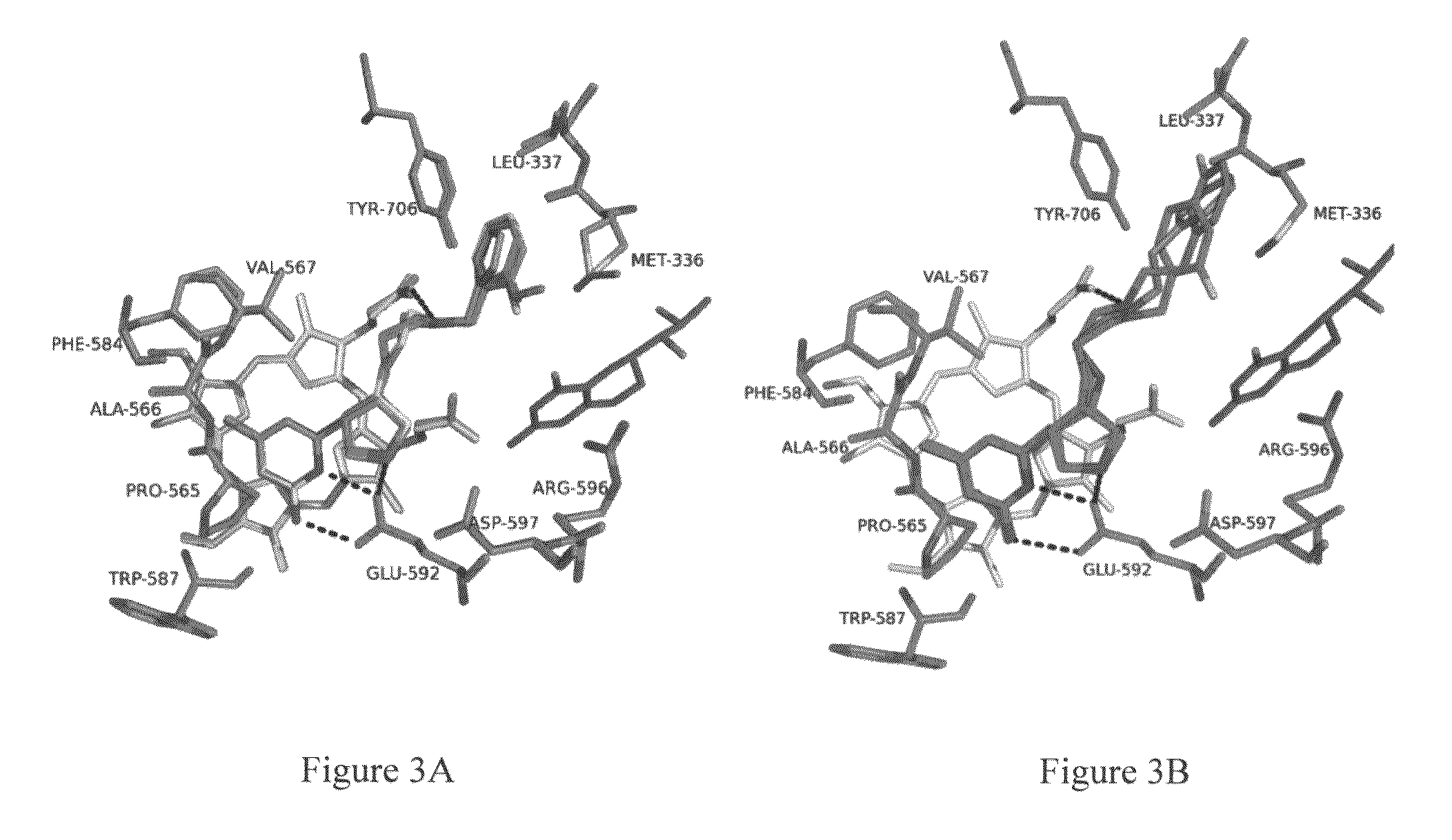 Intramolecular hydrogen-bonded nitric oxide synthase inhibitors