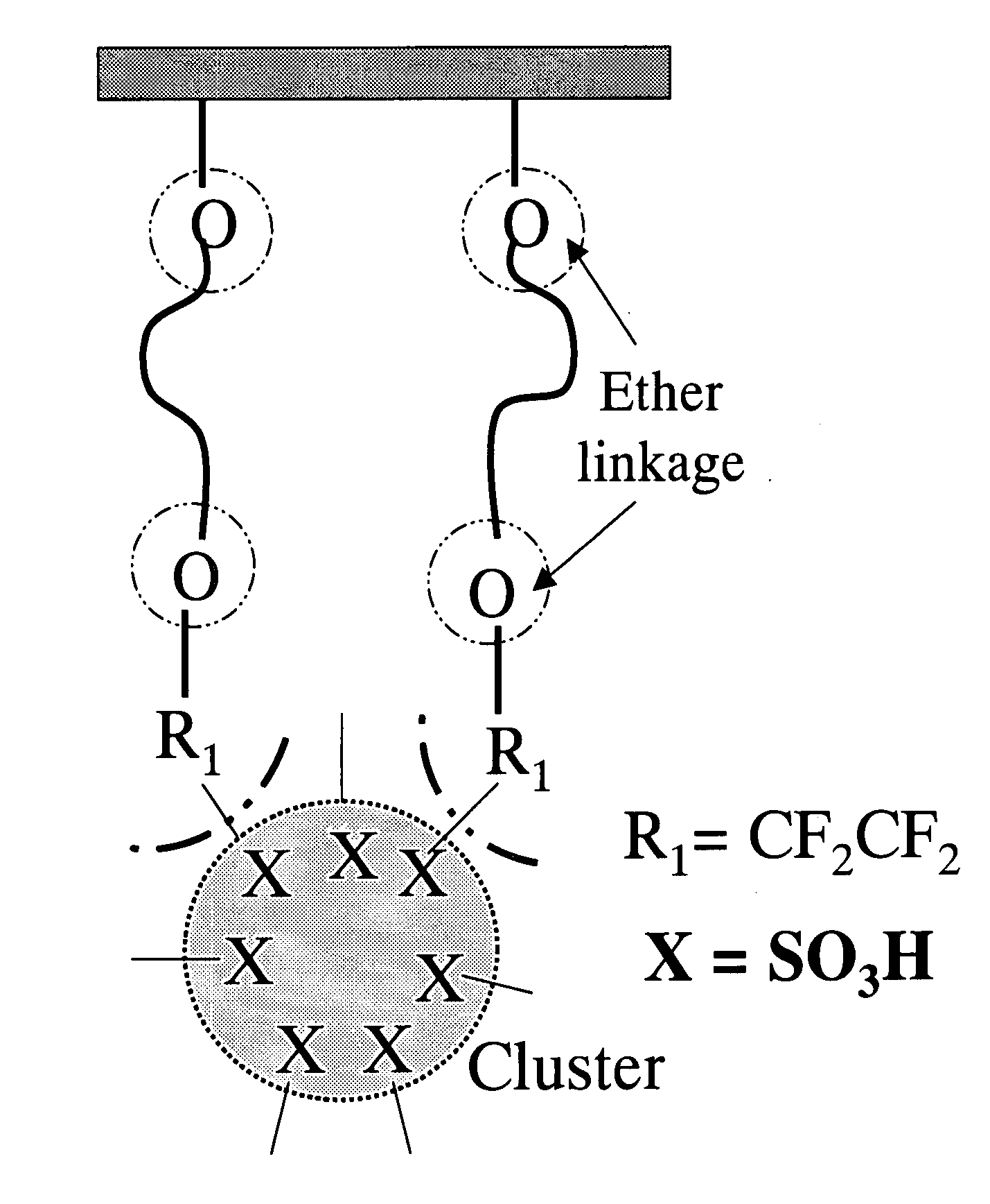 Structures of the proton exchange membranes with different molecular permeabilities