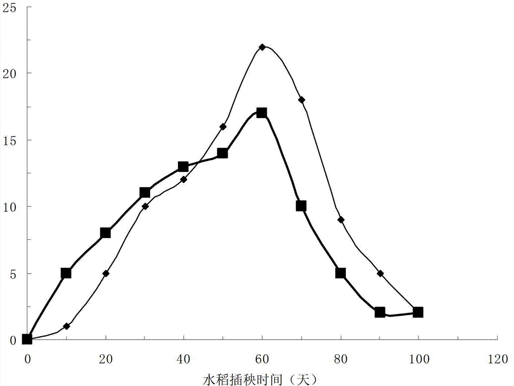 Preparation method for controlled-release fertilizer special for mechanically applied rice