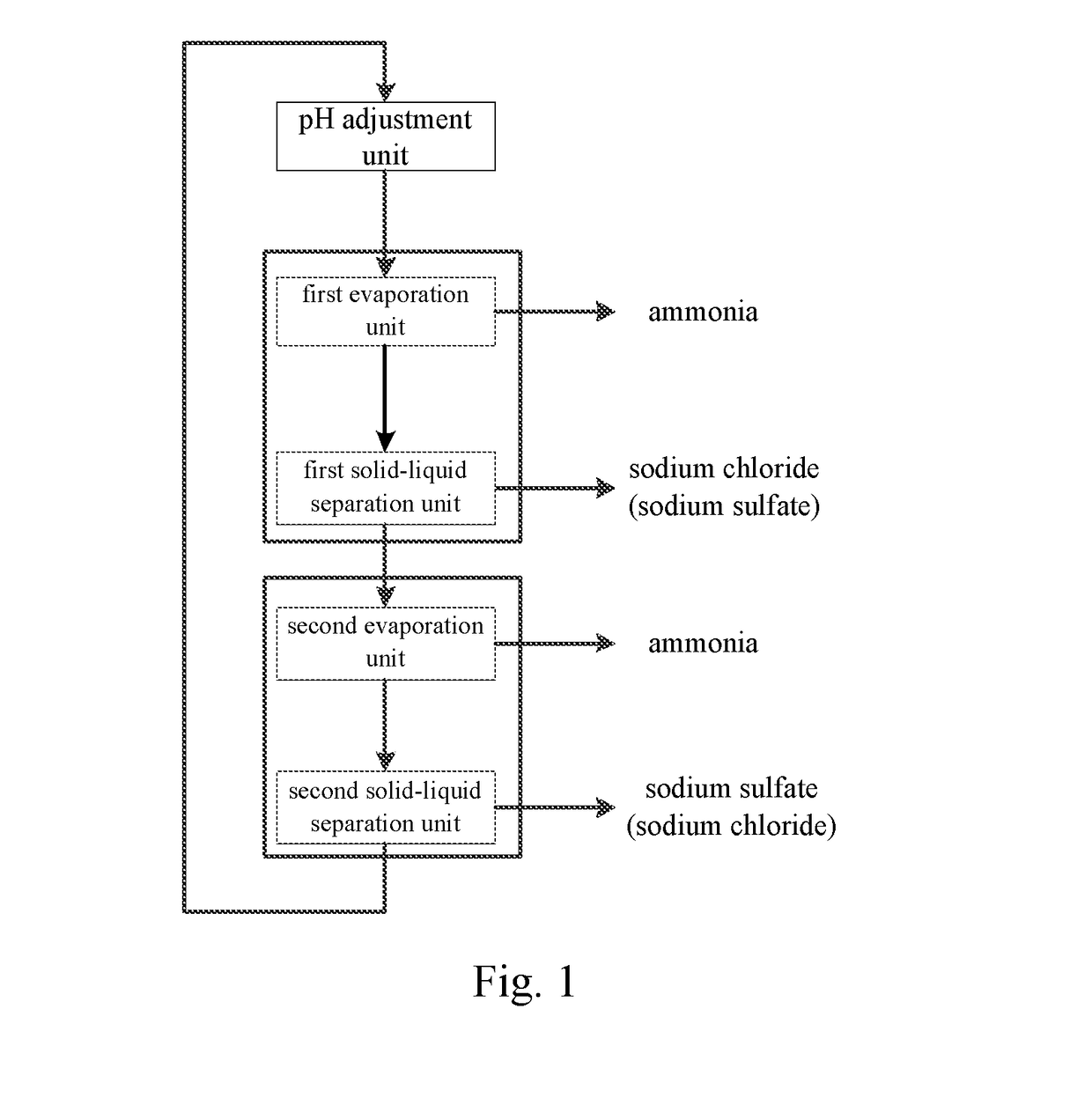 Apparatus and Method for Treating Waste Water Containing Ammonium Salts