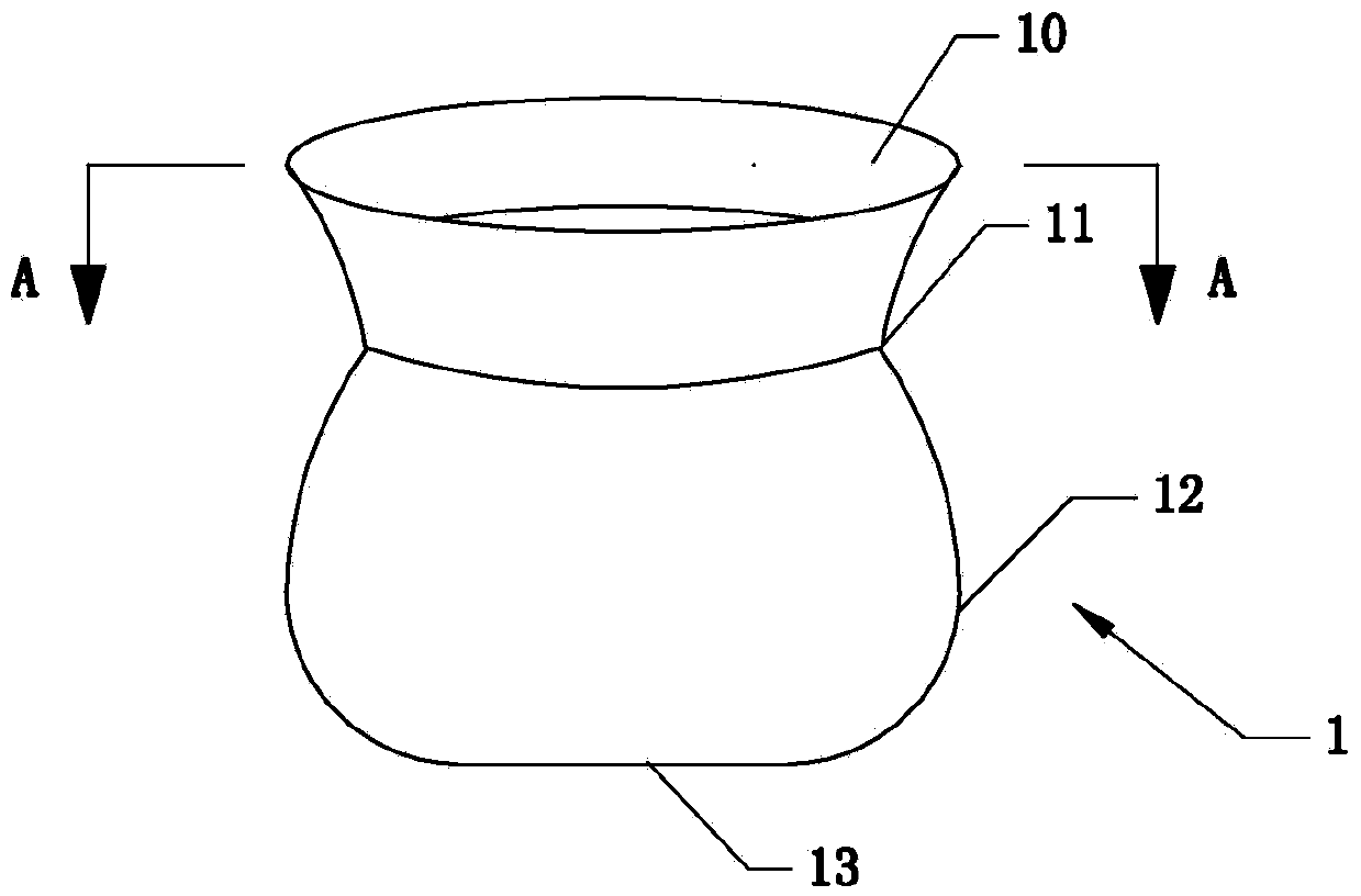 Hilum therapy supporter, manufacturing method thereof and hilum therapy device