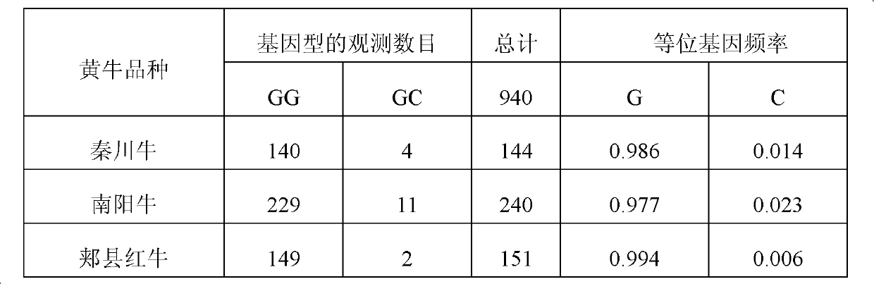 Method for detecting ox FTO (Fat Mass and Obesity-associated) gene single nucleotide polymorphism (SNP)