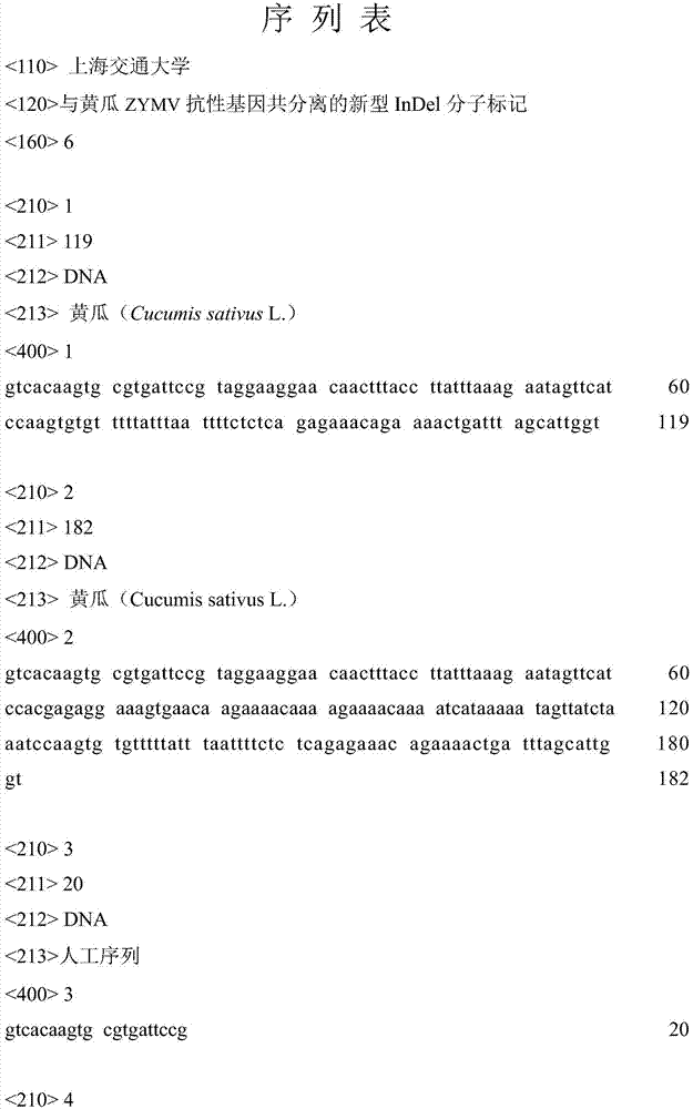 A novel InDel molecular marker co-segregated with a cucumber ZYMV resistant gene