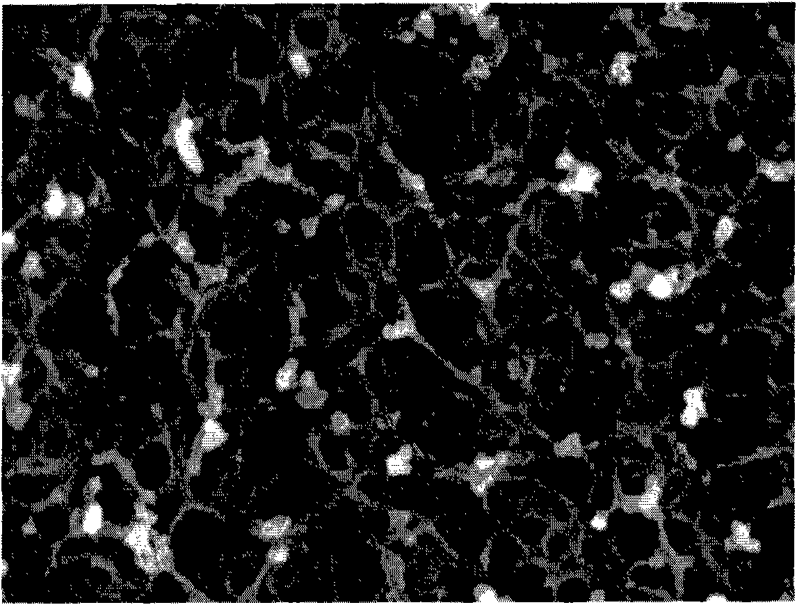 Stretched polyimide porous membrane, preparation method and lithium ion battery thereof