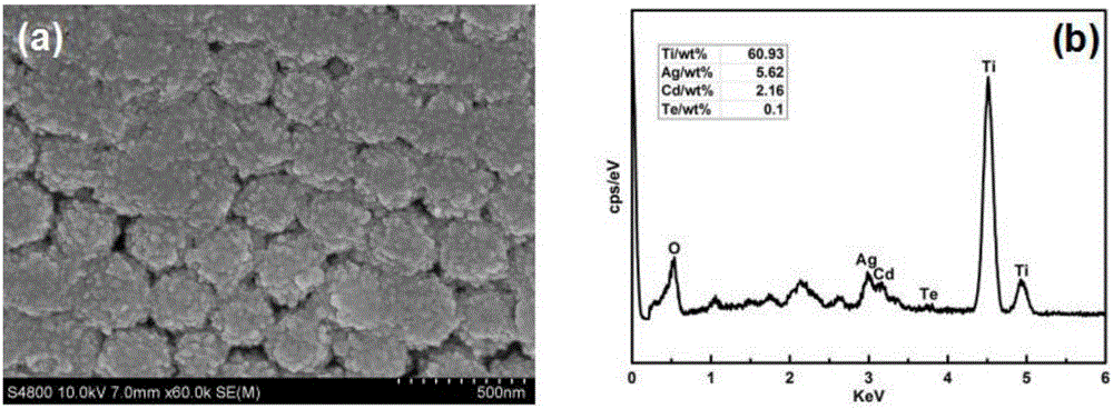 Multicomponent surface enhanced Raman spectroscopy (SERS) detection method based on composite photonic crystal microspheres