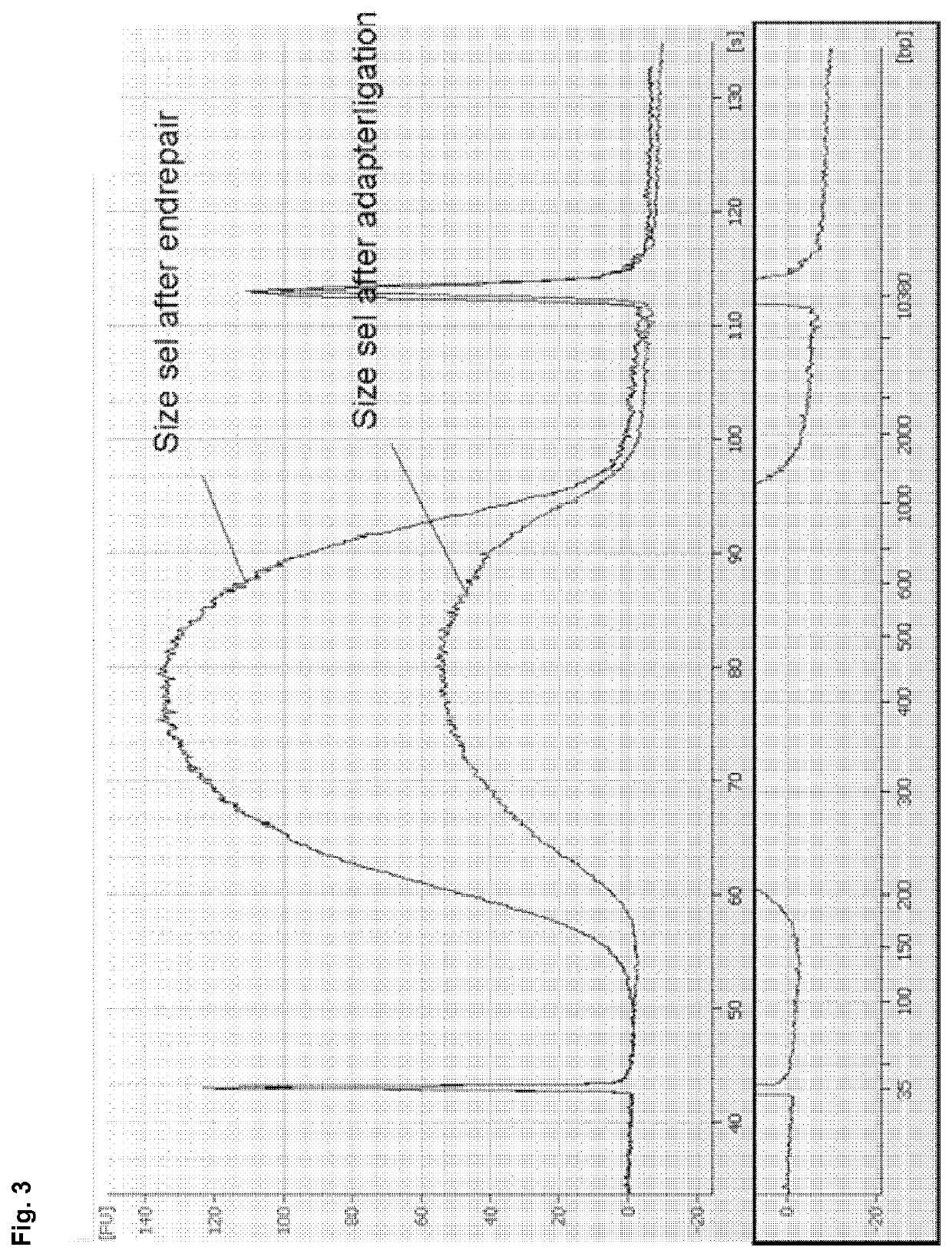 Method for separating DNA by size