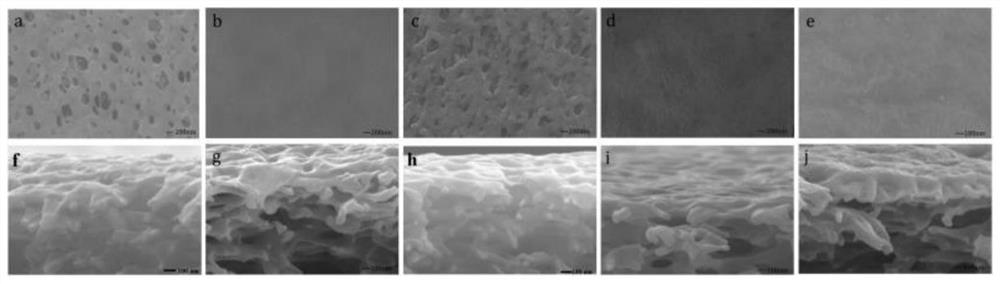 Two-step modified composite nanofiltration membrane containing cellulose nanocrystal intermediate layer and dopamine in-situ modified layer and preparation method thereof