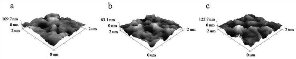 Two-step modified composite nanofiltration membrane containing cellulose nanocrystal intermediate layer and dopamine in-situ modified layer and preparation method thereof