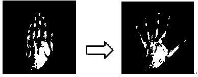 Hand function rehabilitation quantitative evaluation method based on 'finger adduction and abduction' actions of human hand