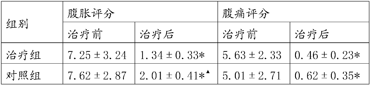 External traditional Chinese medicine composition for treating intestinal obstruction