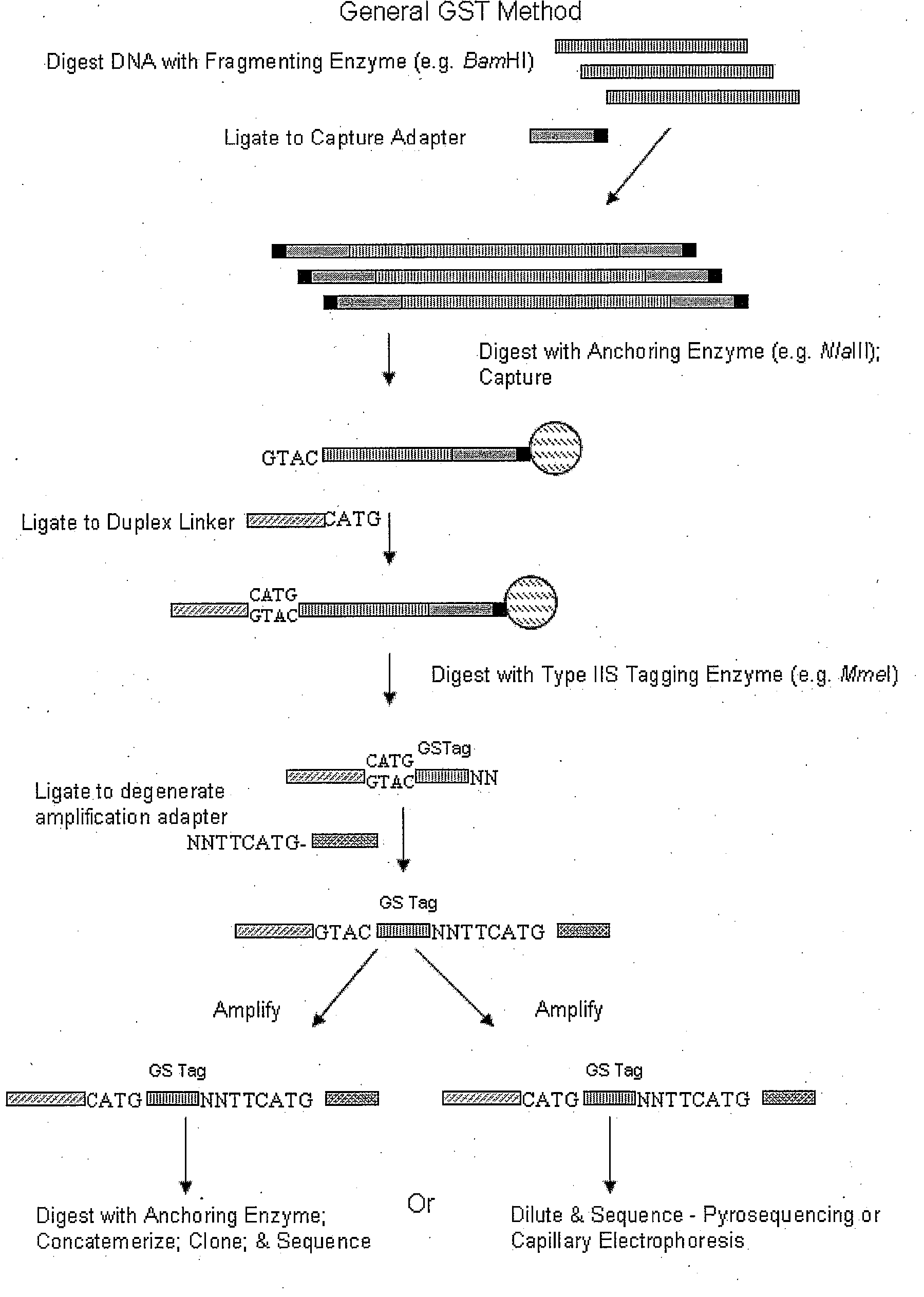 Single-Point Genome Signature Tags