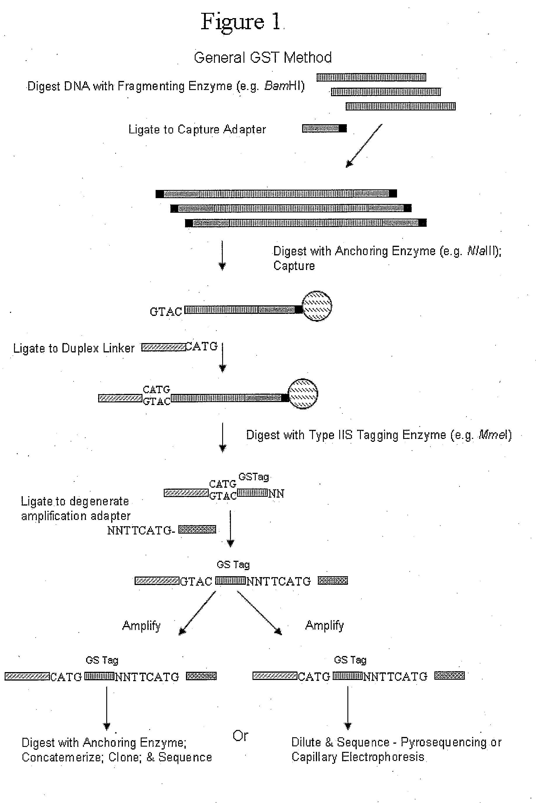 Single-Point Genome Signature Tags