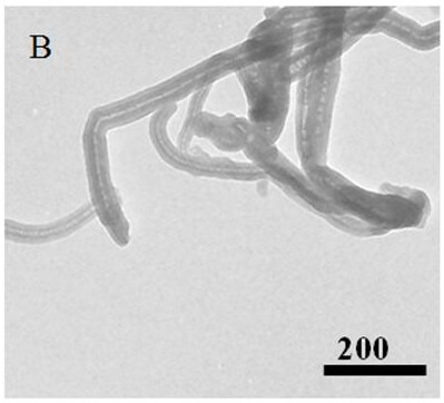 Preparation and application of biosensor based on N-graphene nanobelt-gold platinum nanocluster