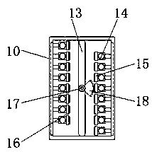 Rice seedling planting device for rice blast resistance identification