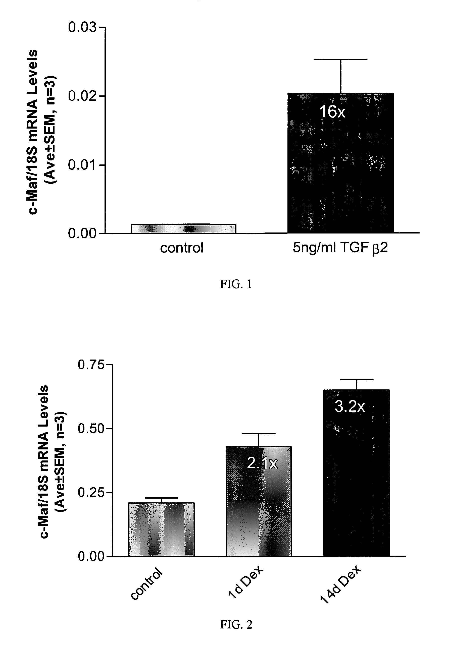 Short form c-Maf transcription factor antagonists for treatment of glaucoma