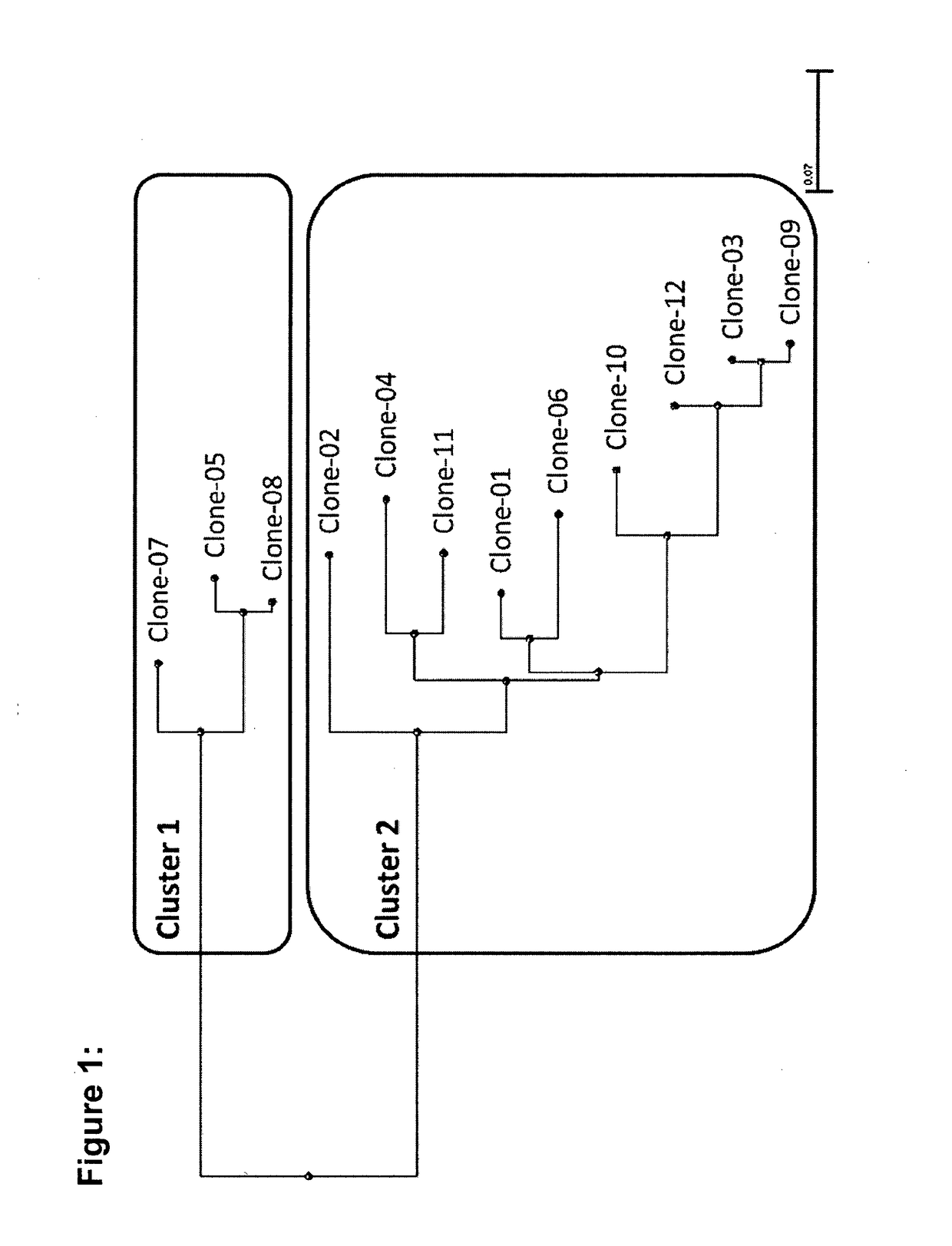 Novel multispecific molecules and novel treatment methods based on such multispecific molecules