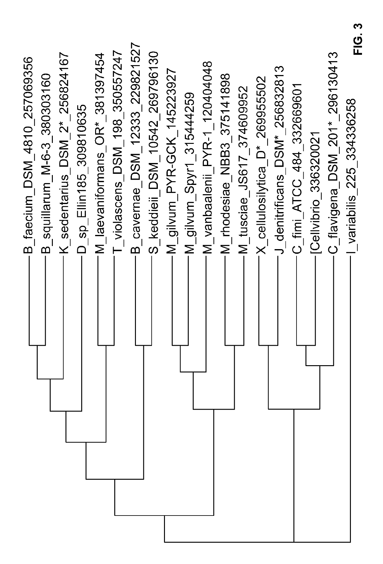 Phosphoketolases for improved production of acetyl coenzyme A-derived metabolites, isoprene, isoprenoid precursors, and isoprenoids