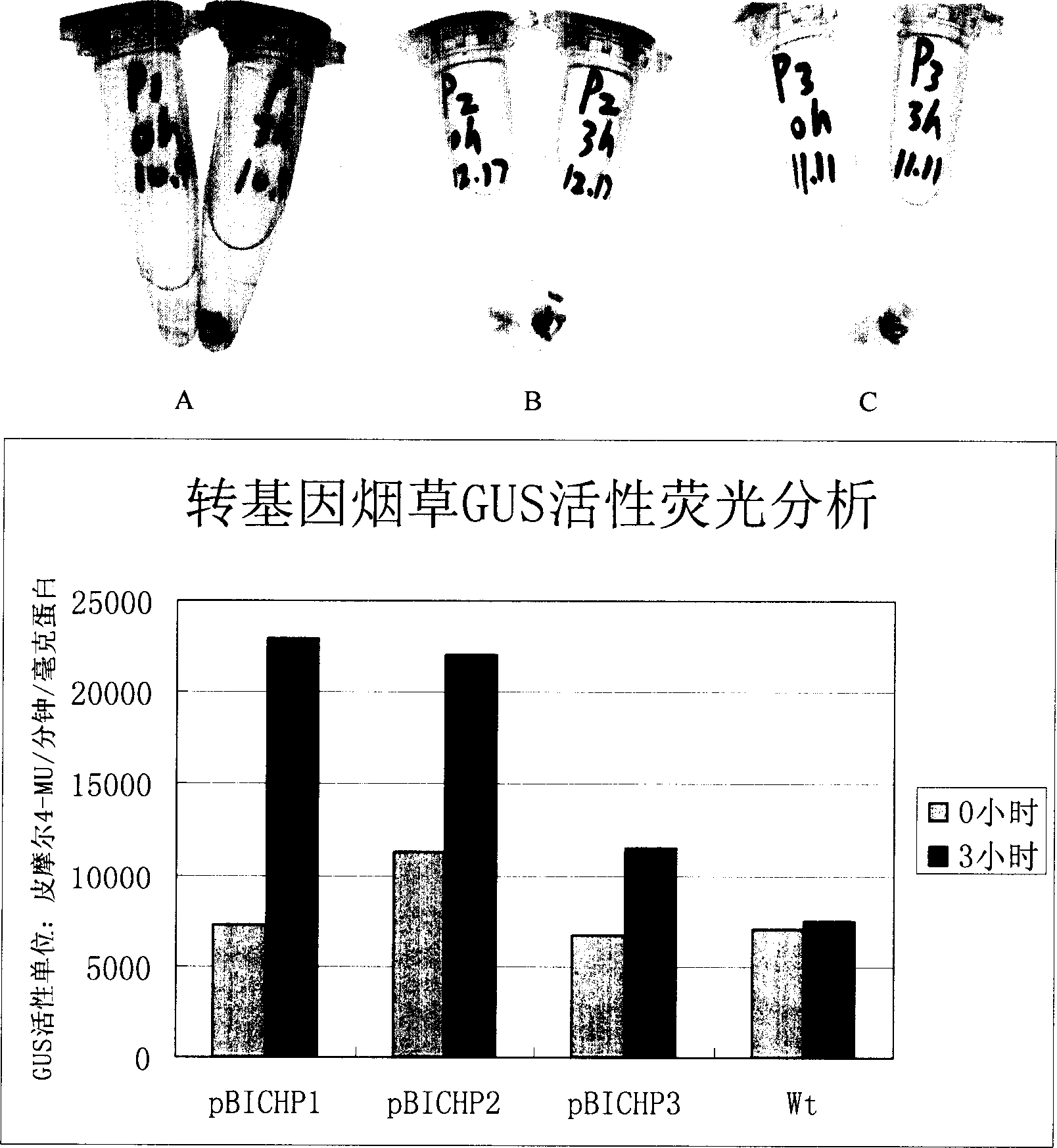 Inducible promoter separated from leaf mustard