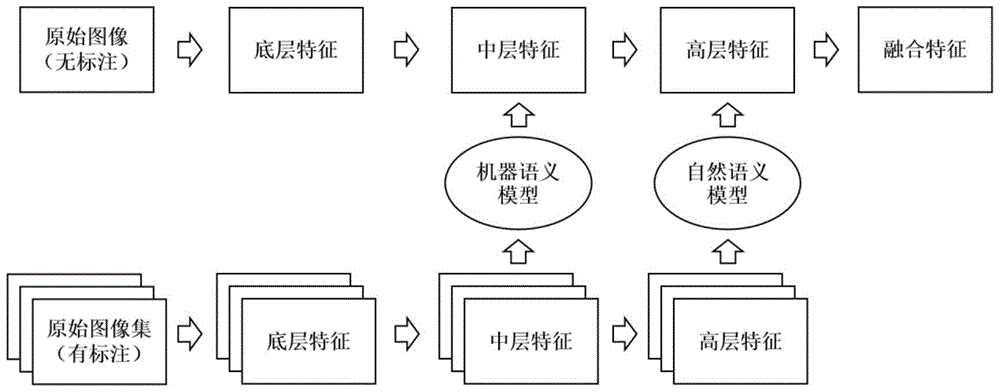 A face feature extraction method and recognition method based on multi-level semantic features