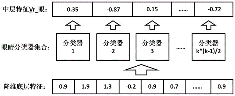 A face feature extraction method and recognition method based on multi-level semantic features