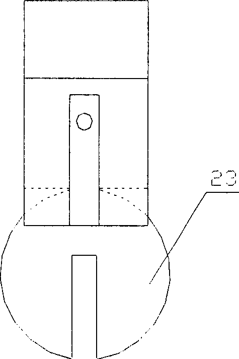 Method and apparatus for colour-implantation of human skin