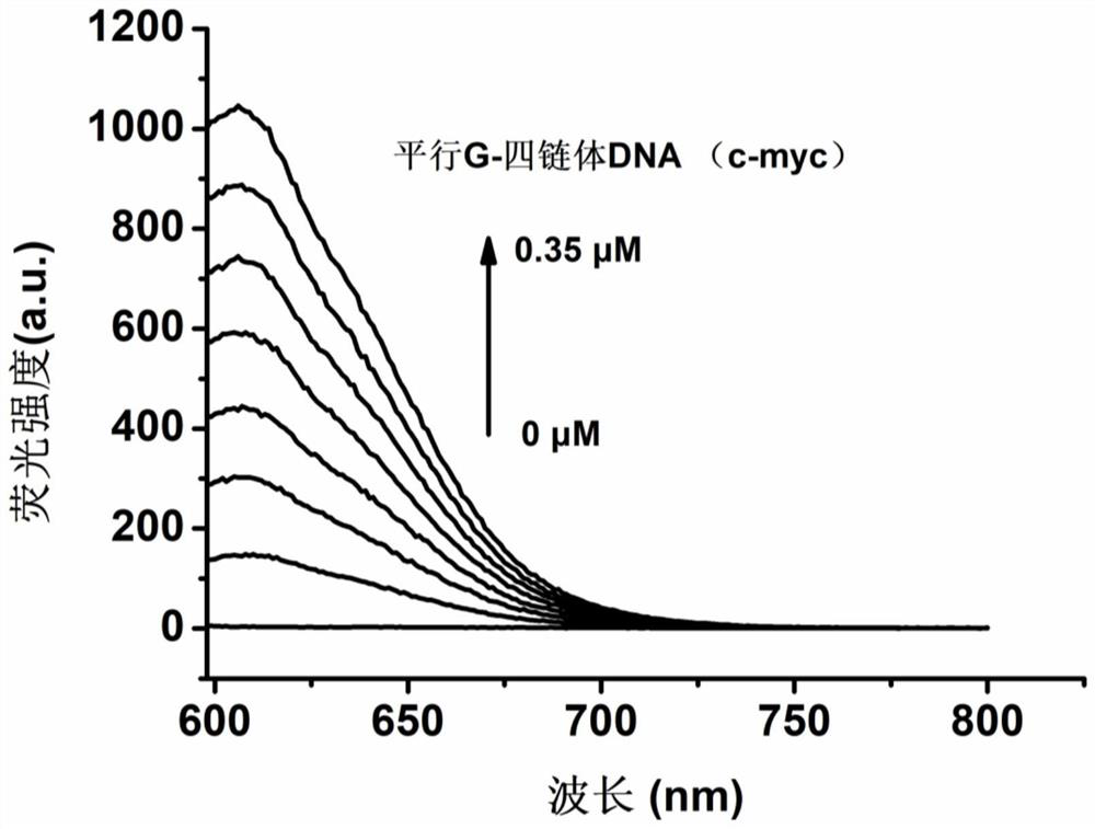 A kind of preparation method of specific detection parallel configuration g-quadruplex dna probe