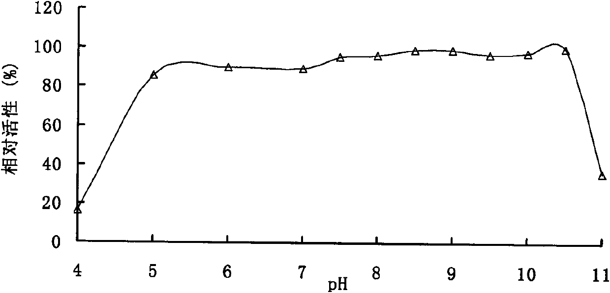 Alkaline pectinase poly lactic acid (PLA) and gene and application thereof