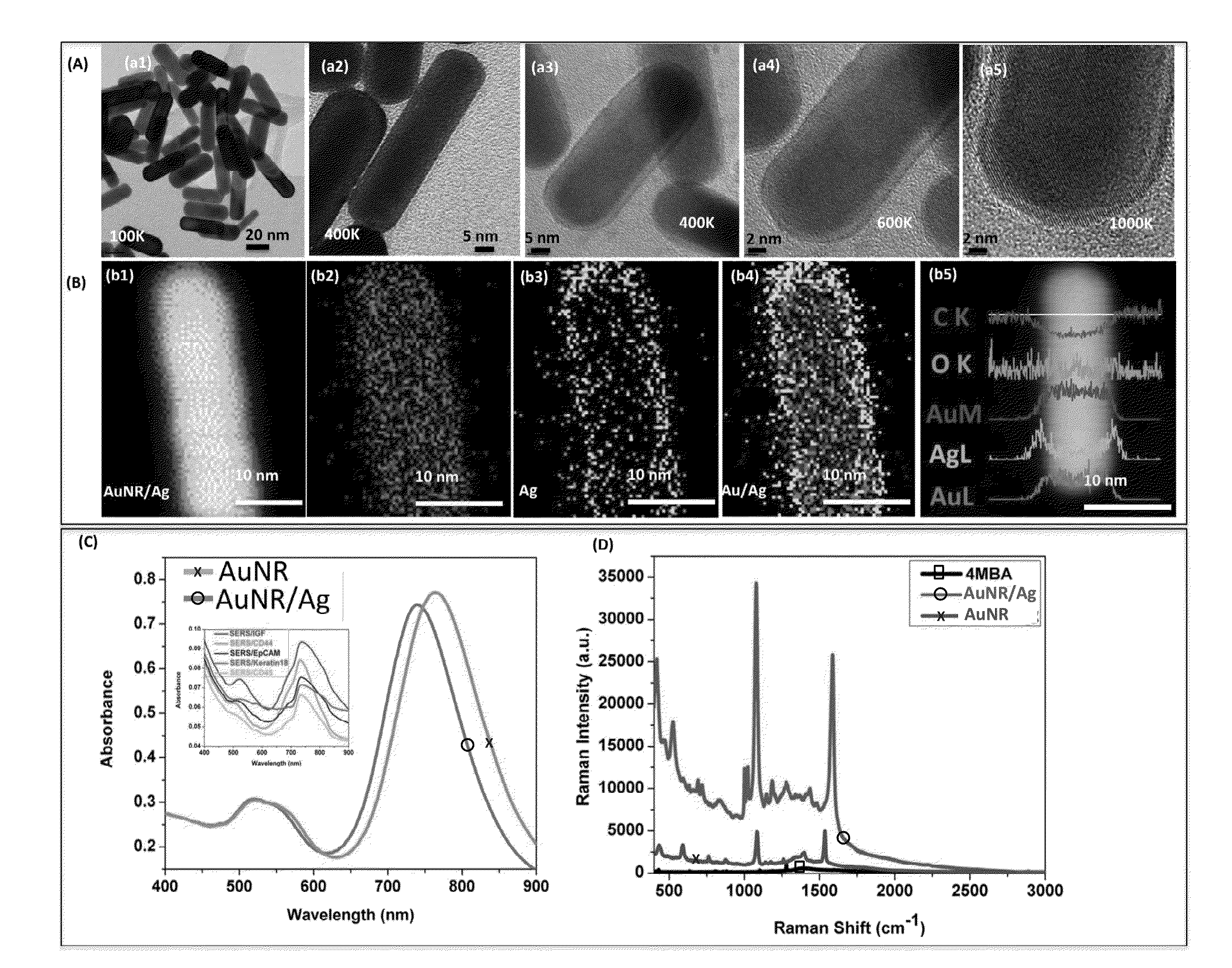 Nanocomposites, methods of making same, and applications of same for multicolor surface enhanced raman spectroscopy (SERS) detections