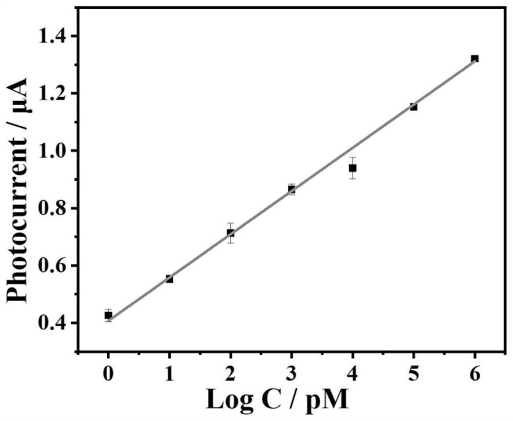 Preparation method and application of photoelectrochemical biosensor for detecting oxytetracycline