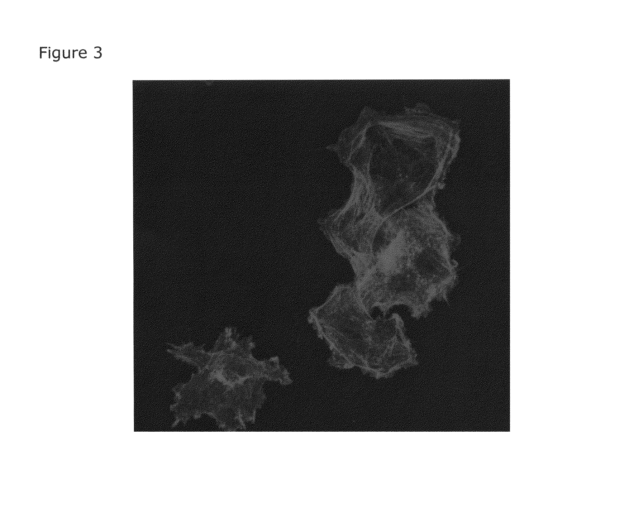 Bioactive peptide for cell adhesion