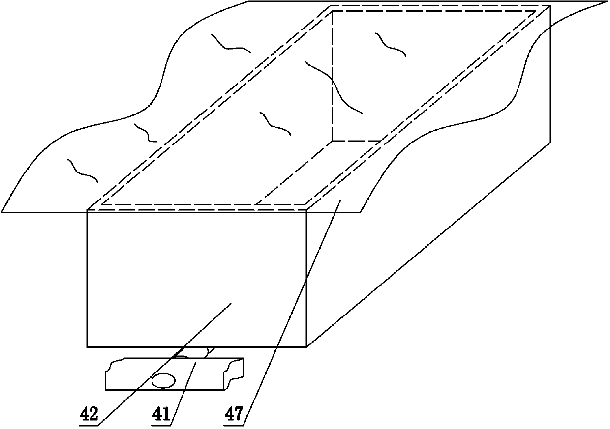 Biscuit food and continuous fermentation device thereof