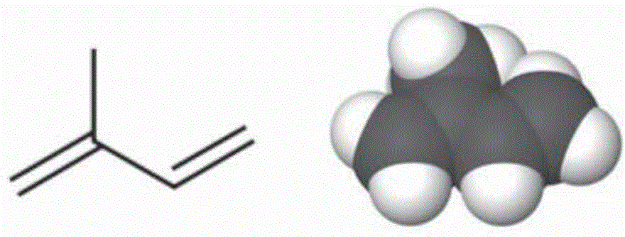 Isoprene producing bacterial and isoprene producing method