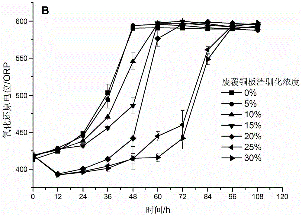 Complex acidophilic microbial agent as well as preparation method and application thereof in treating waste copper-clad plate flotation residue