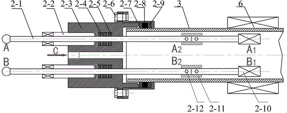 Device and method for directly growing atom-dimension two-dimensional semiconductor heterojunction