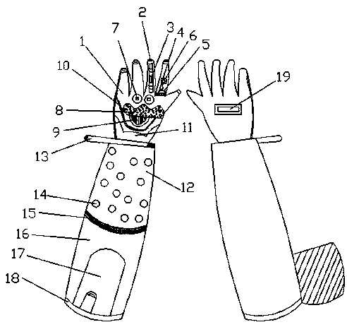 Multifunctional protective gloves for medical examinations