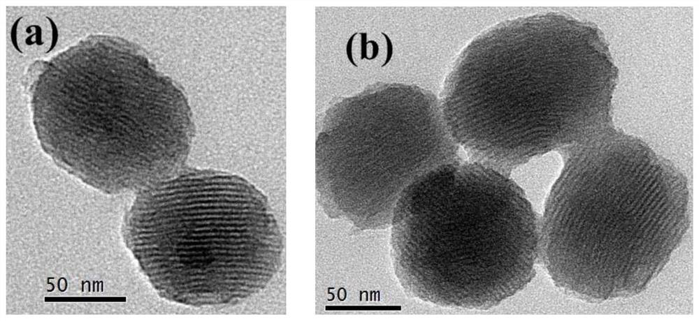 A kind of preparation method of acemetquine taste-masking nanometer prodrug