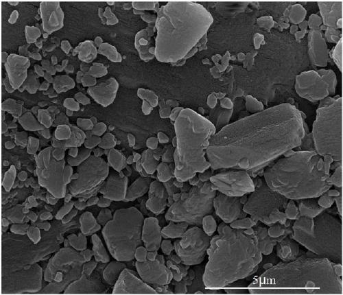 Mesoporous bentonite and preparation method thereof