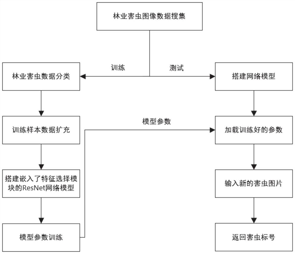 Forestry pest identification method and system based on feature selection module