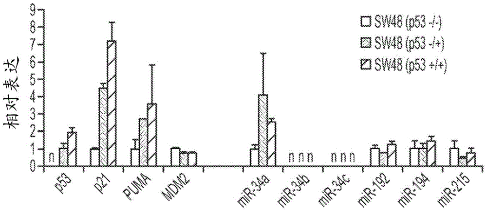 Biomarkers of miR-34 activity