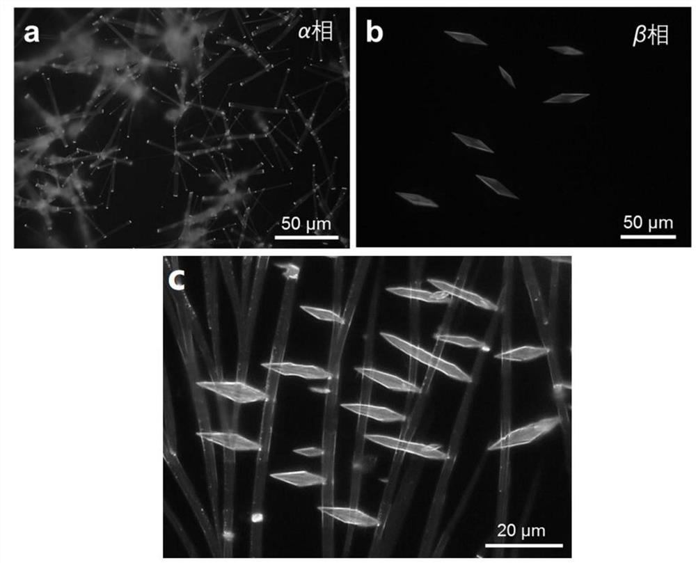 Organic heterogeneous micro -nano crystals based on polycrystalline phase molecules and their preparation and application