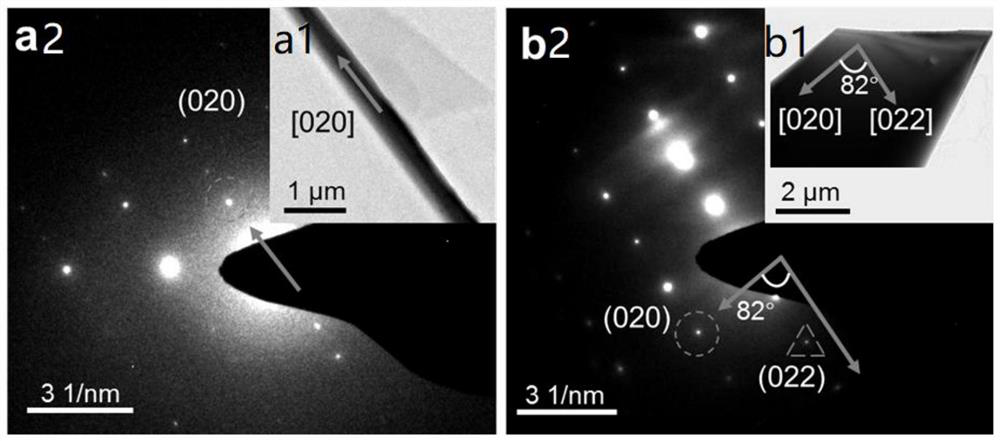 Organic heterogeneous micro -nano crystals based on polycrystalline phase molecules and their preparation and application