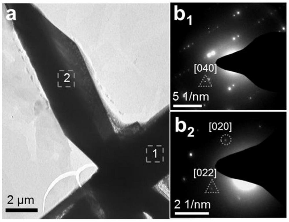 Organic heterogeneous micro -nano crystals based on polycrystalline phase molecules and their preparation and application