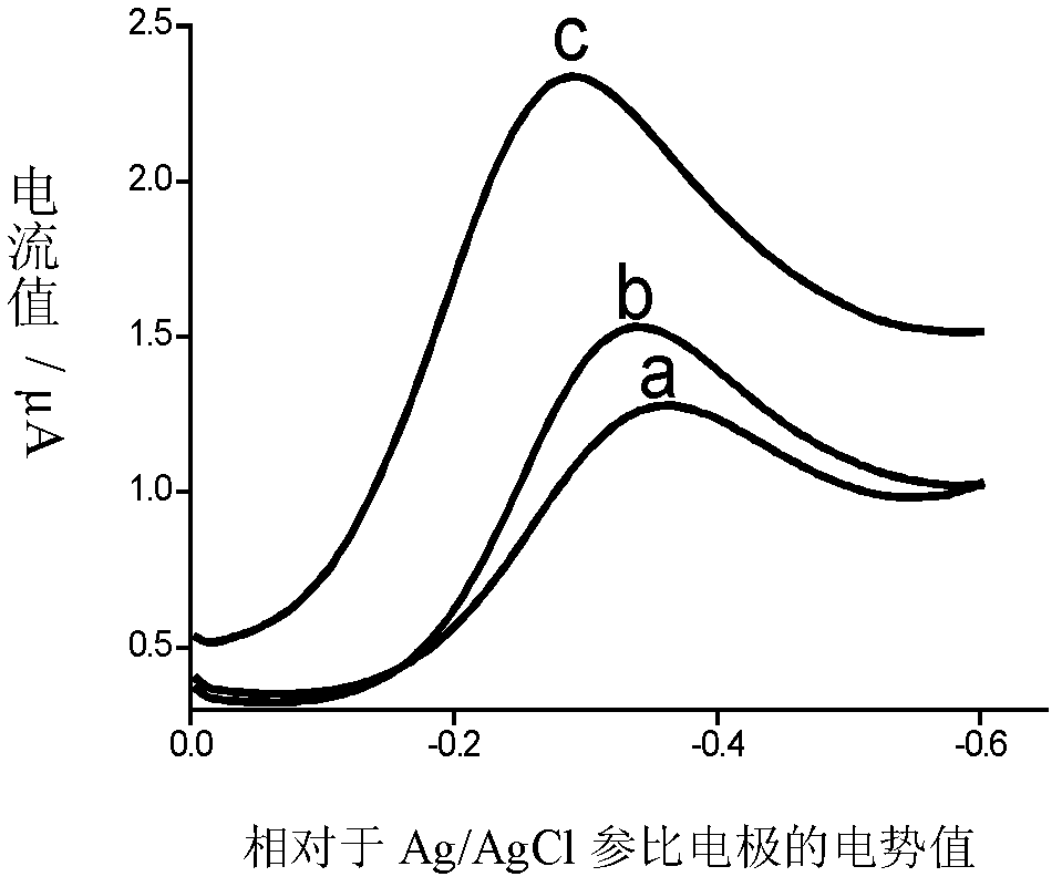 Construction method for electrochemical sensor used for DNA single chain and protein molecule detection