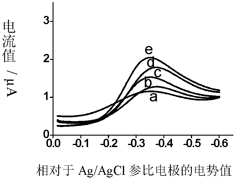 Construction method for electrochemical sensor used for DNA single chain and protein molecule detection