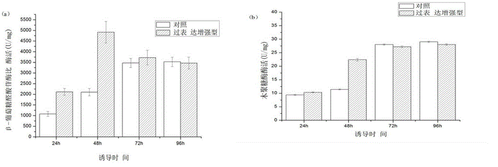 A method for increasing the expression of exogenous protein in Pichia pastoris by thiol peroxidase