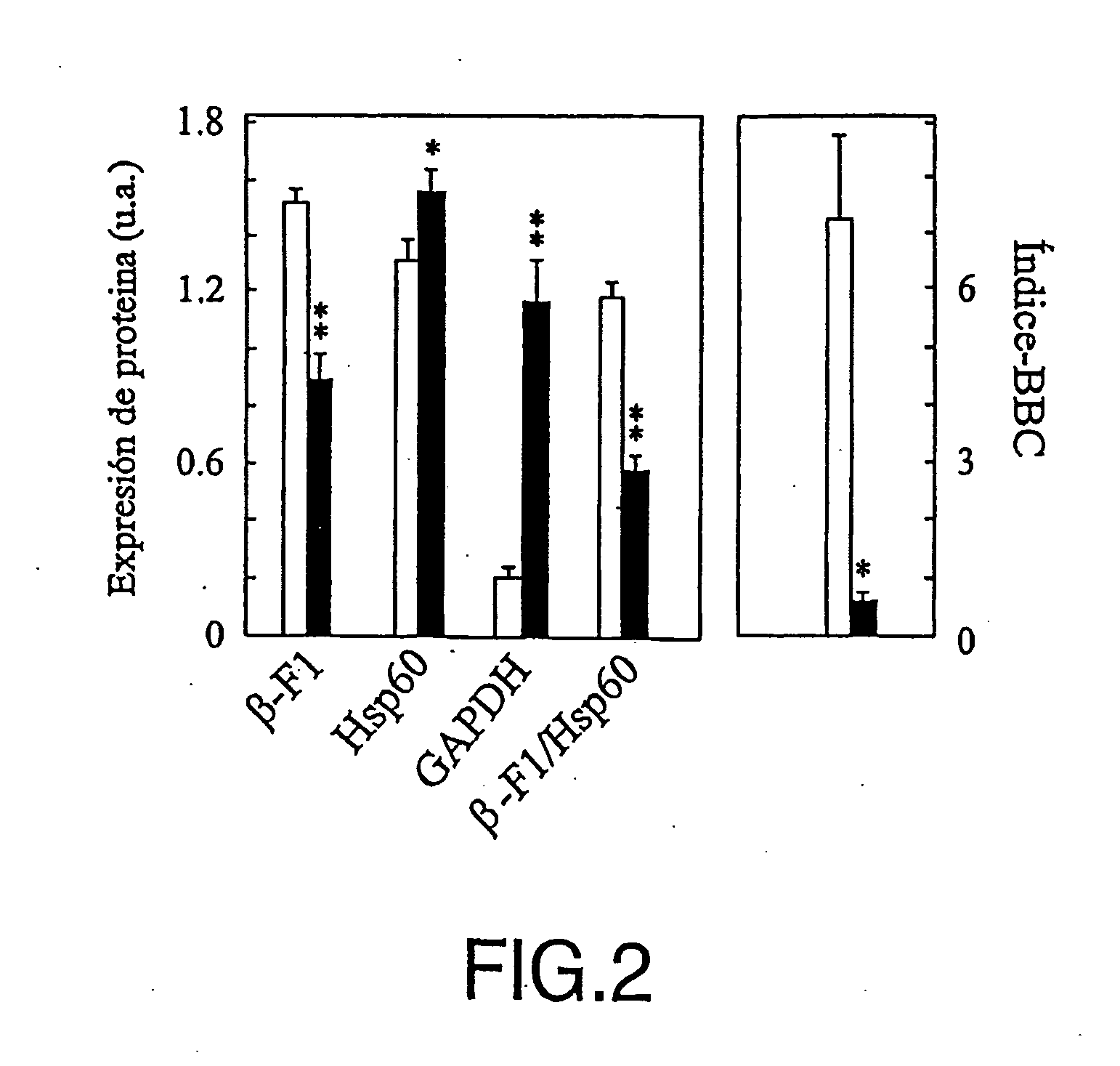 Method for cancer detection, progression analysis and malign tumour prognosis based on the study of metabolic markers of the cell