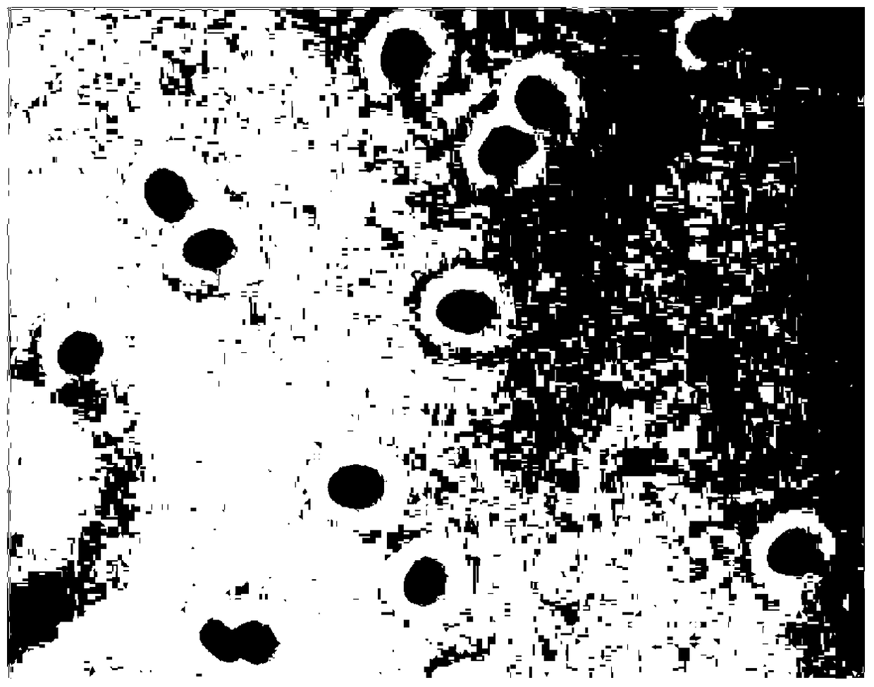 A kind of trichoderma aurantia and its application